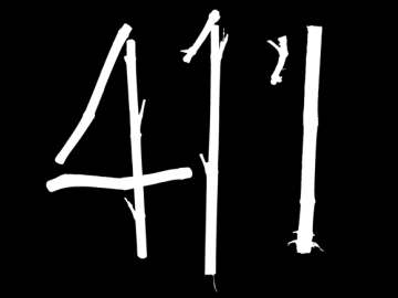 411 Logo animation